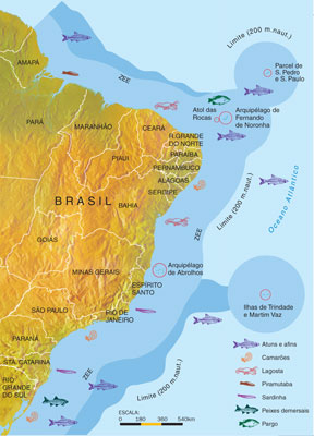 Amazônia Azul. Fonte: Revista Horizonte Geográfico